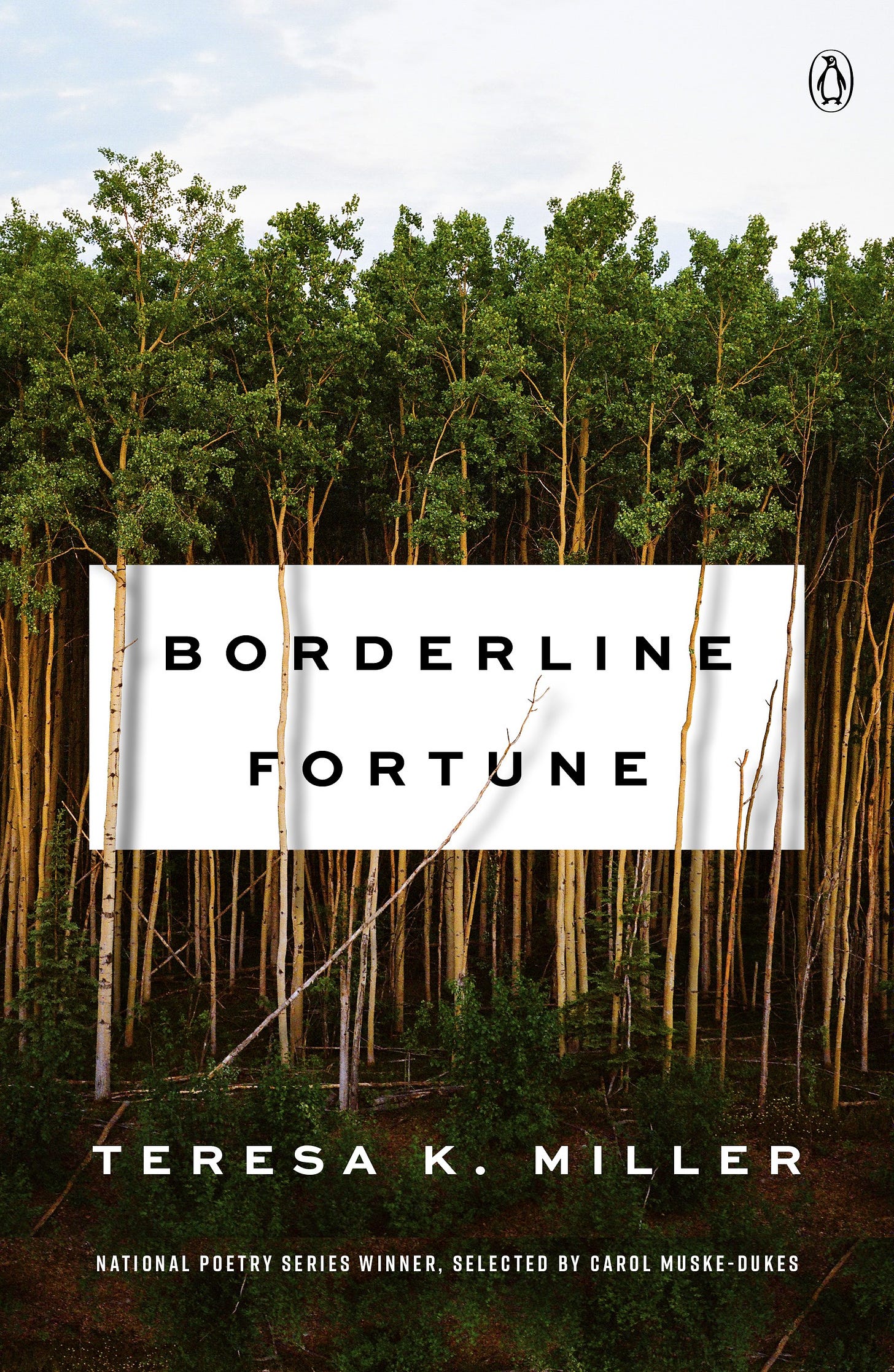 This is the book cover for Borderline Fortune by Teresa K. Miller