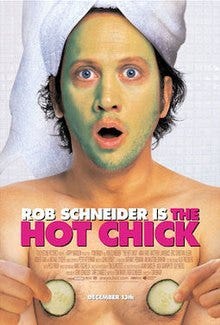 The Hot Chick - Wikipedia