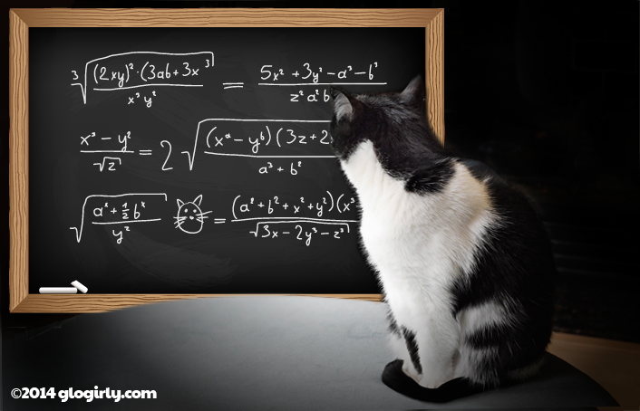 GLOGIRLY: Shelter Cats WIN &amp; Waffles Needs a Math Lesson