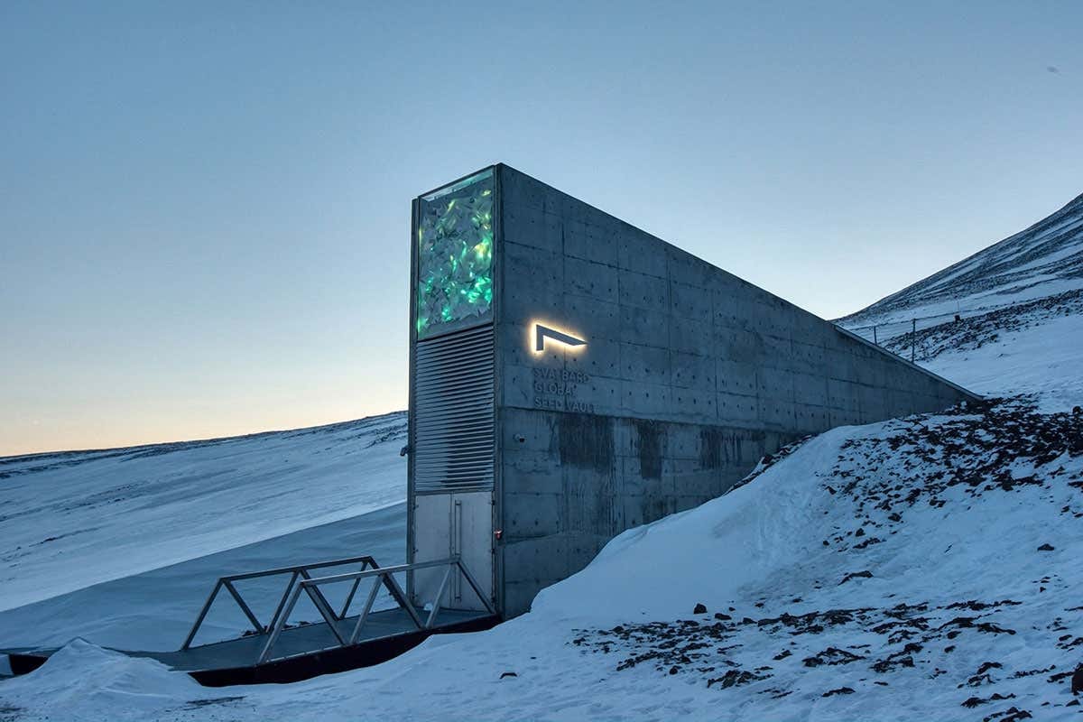 Svalbard doomsday vault gets first big seed deposit since upgrade | New  Scientist
