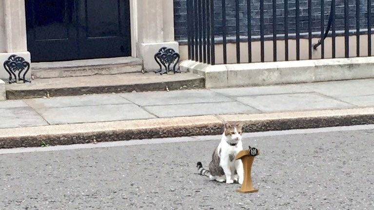 Larry, chief mouser to the cabinet office, giving speech to fellow cat  citizens addressing the reopening of tuna cans : r/Catswithjobs