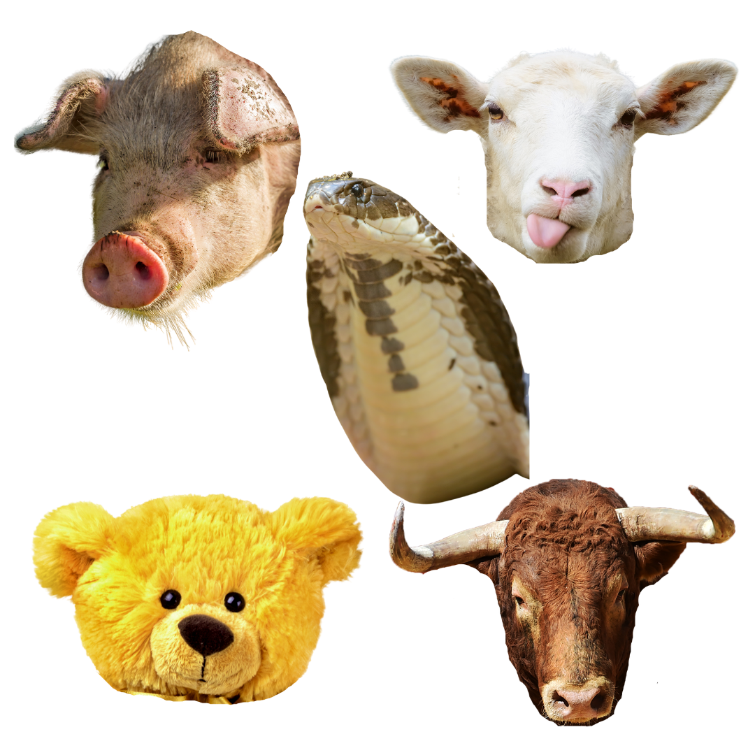 Five animal heads