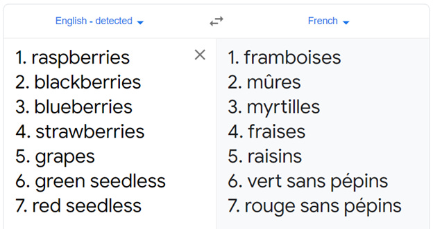 google english to french translation of various fruit mentioned earlier