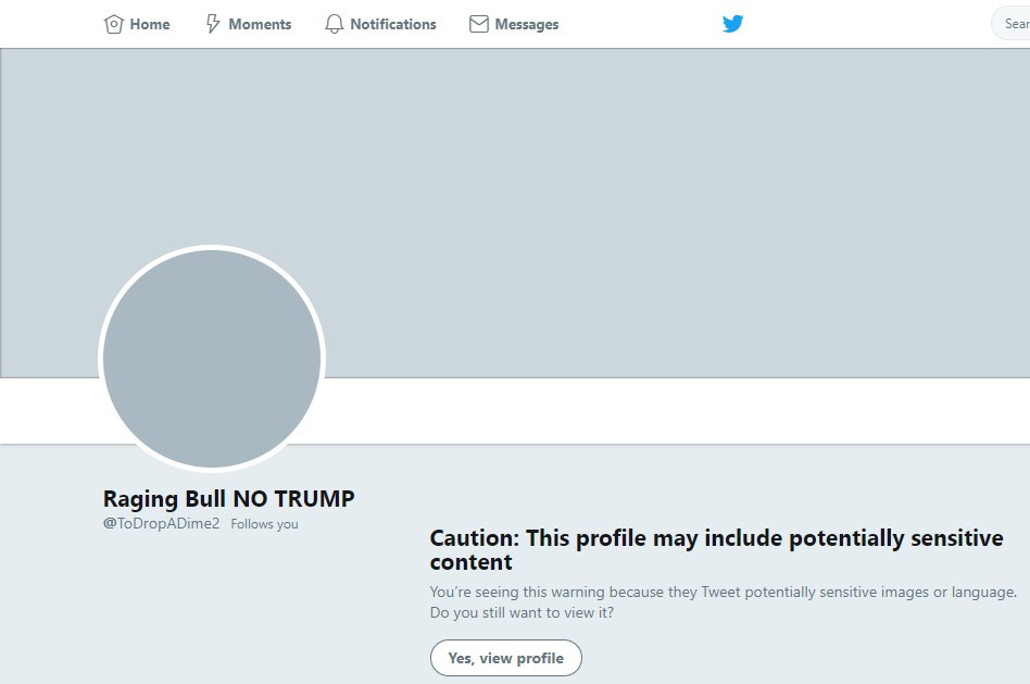 Screenshot of Twitter's sensitive content algorithm