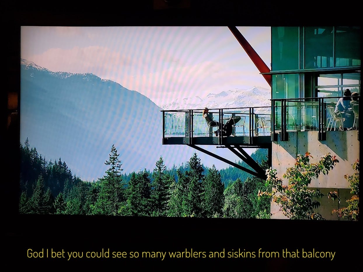 An establishing shot of a glass balcony suspended from a building, with pine forests and snow-capped mountains in the background, captioned "God I bet you could see so many warblers and siskins from that balcony"