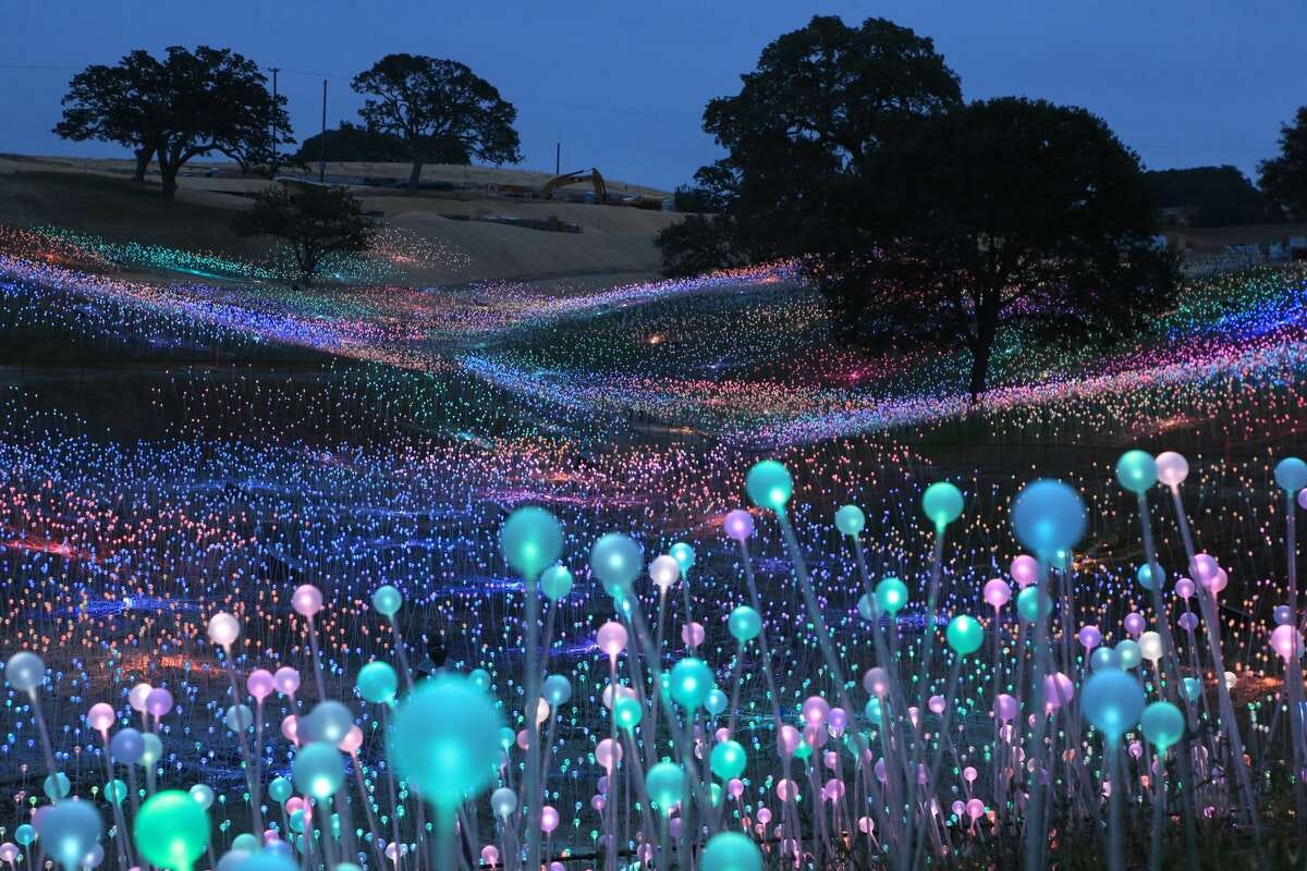 Nobody expected Sensorio Field of Light in Paso Robles to become a global  sensation. Now it's bigger than ever.
