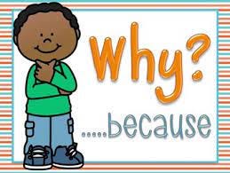 Why.... because by Carrie Hughes Speech and Language Therapist | TpT