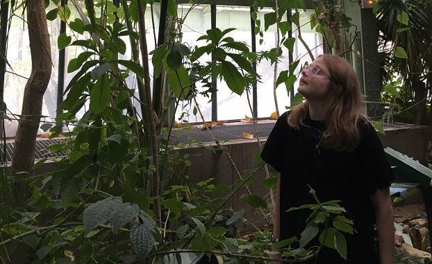 A white woman looks into part of her installation, a manipulated plantscape. She wears large pink glasses and an oversized black t-shirt.