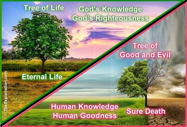 The Tree of the Knowledge of Good and Evil leads to sure Death. The Tree of Life leads to Eternal Life.