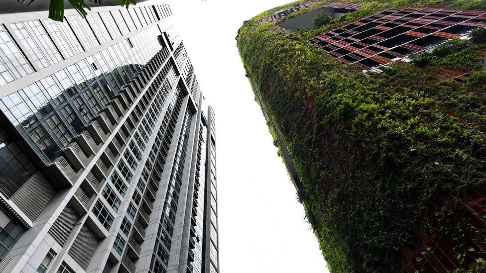 Architects and city planners in Singapore have tried to use plants on the outside of buildings to combat pollution and high temperatures