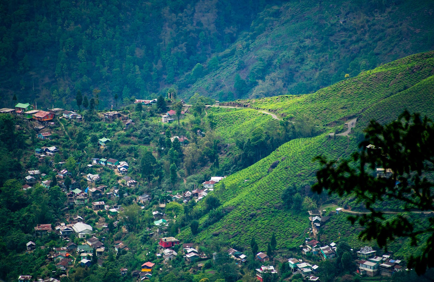 Sonada, Darjeeling, India 