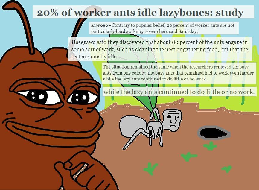 20% of worker ants idle lazybones: study | Smug Frog | Know Your Meme