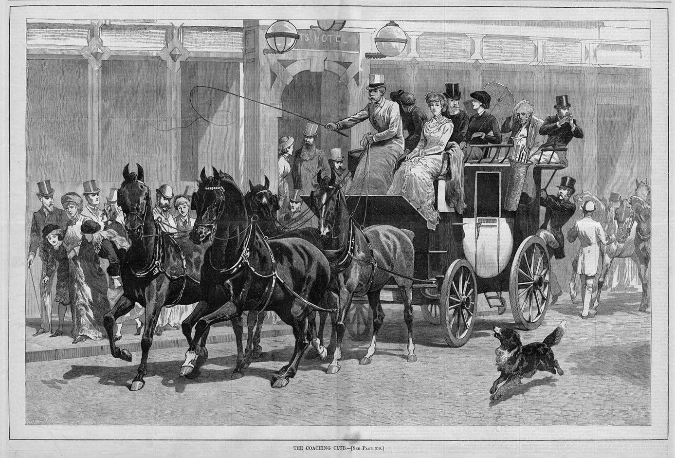 HORSES COACHING CLUB FOUR IN HAND DOG CARRIAGE 1881 DECORATIVE ANTIQUE  COACHING | eBay