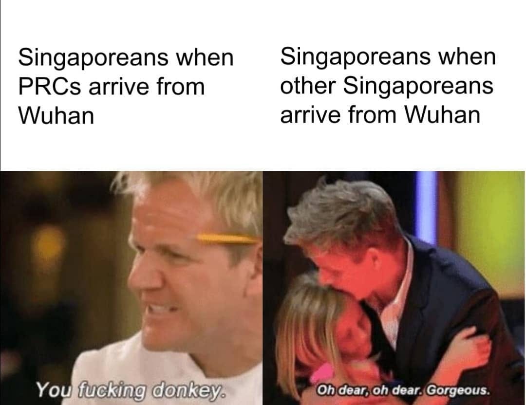 Image may contain: 1 person, possible text that says 'Singaporeans when PRCs arrive from Wuhan Singaporeans when other Singaporeans arrive from Wuhan You fucking donkey. Oh dear, oh dear. Gorgeous.'