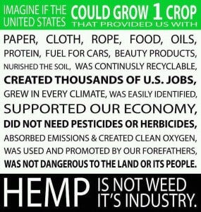 kentucky legalizes industrial hemp