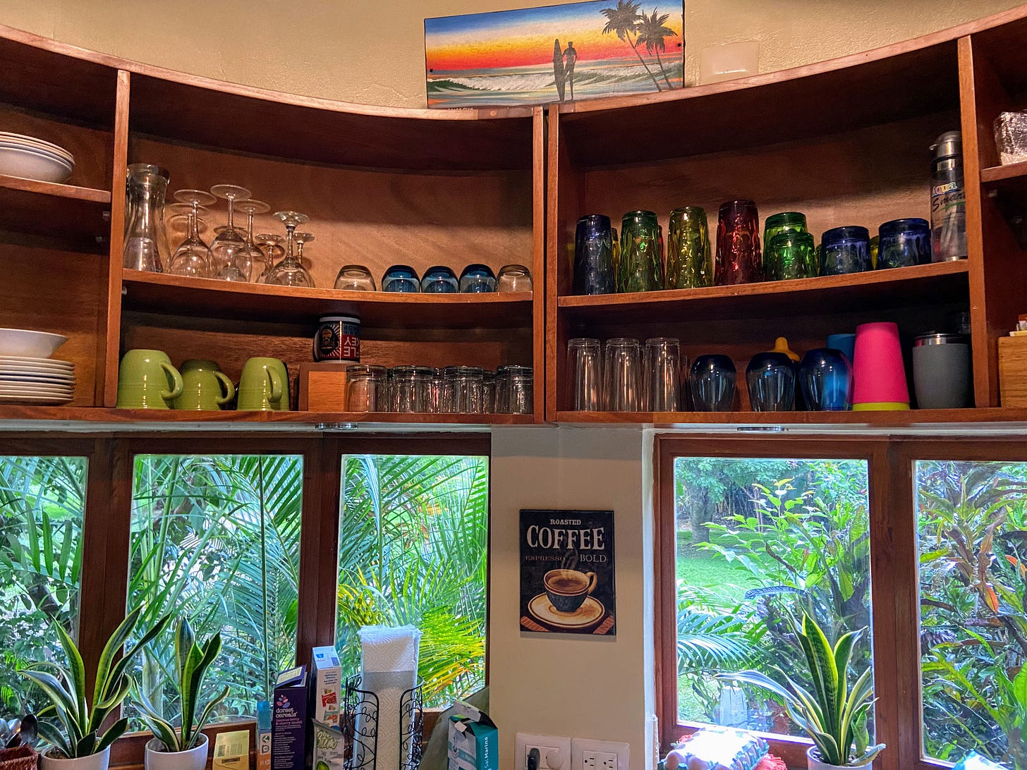 Kitchen shelves with glasses and cups, over windows with plants outside.
