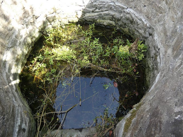 St. Colmcille's Well, Calliaghstown, Co. Meath, View of the well basin.