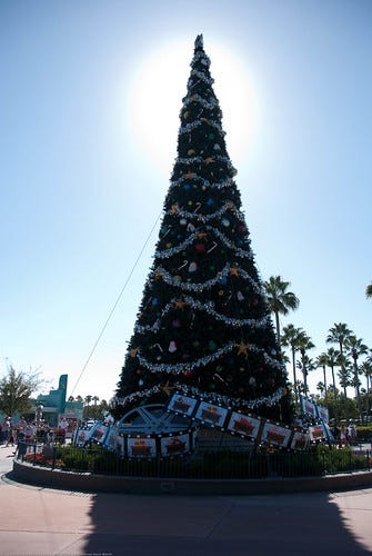 Christmas tree at Hollywood Studios entrance