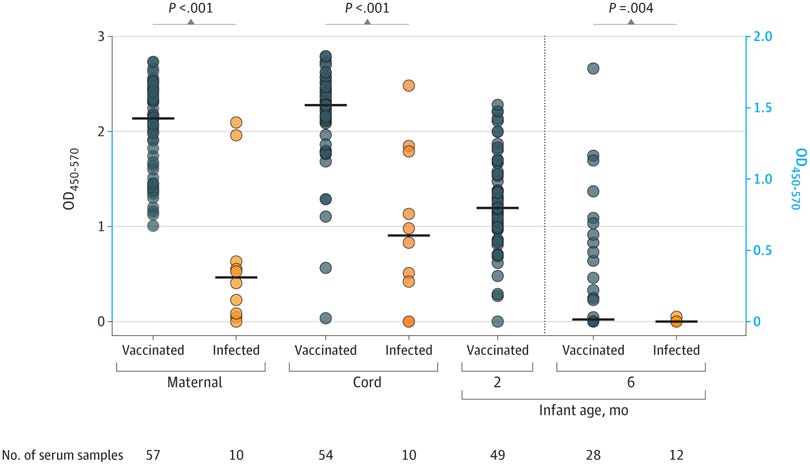 Persistence of Antibody in Infants After Maternal COVID-19 Vaccination or Infection