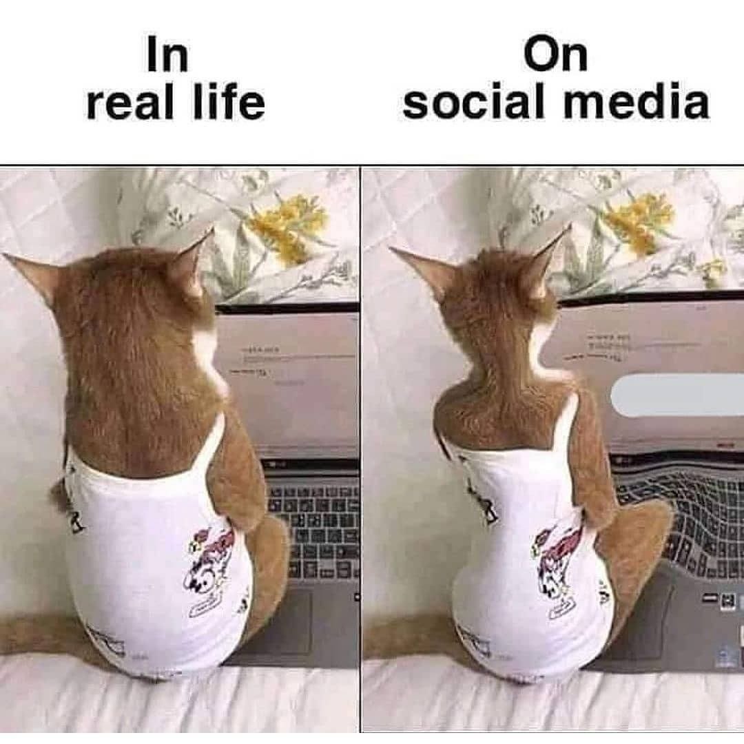 In real life vs on social media meme - AhSeeit