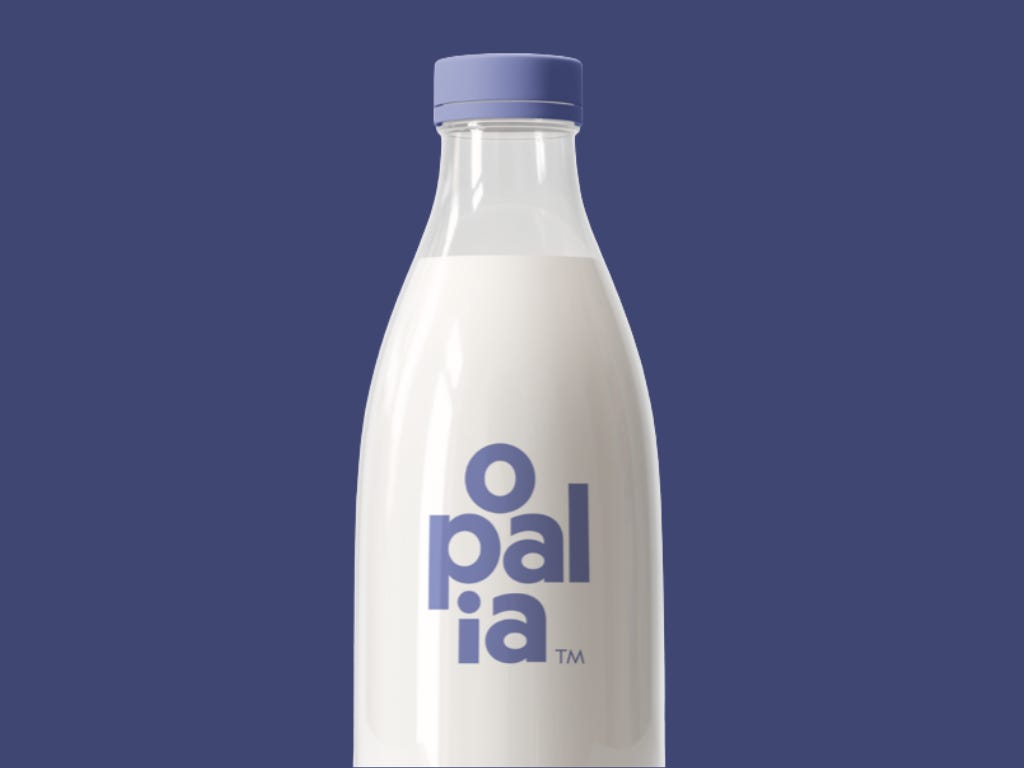 Opalia Enters Cultivated Milk Race To Push Sustainability And Animal  Welfare Issues Forward