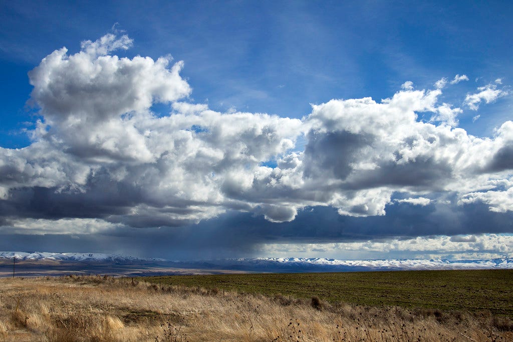 Plains of eastern Oregon with the Blue Mountains