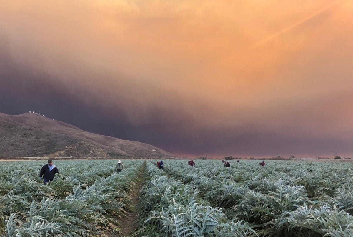 As Wildfire Smoke Fills the Air, Farmworkers Continue to Labor in the  Fields - Pacific Standard