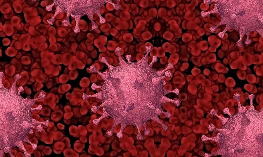 Ilustrasi coronavirus