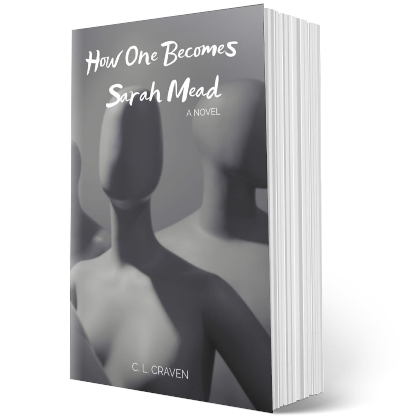 A 3D mockup of my book, How One Becomes Sarah Mead.