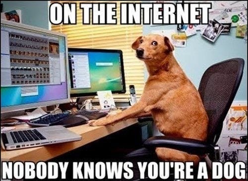 On the Internet, Nobody Knows You&#39;re a Dog | by Brilliant Social Media |  Medium