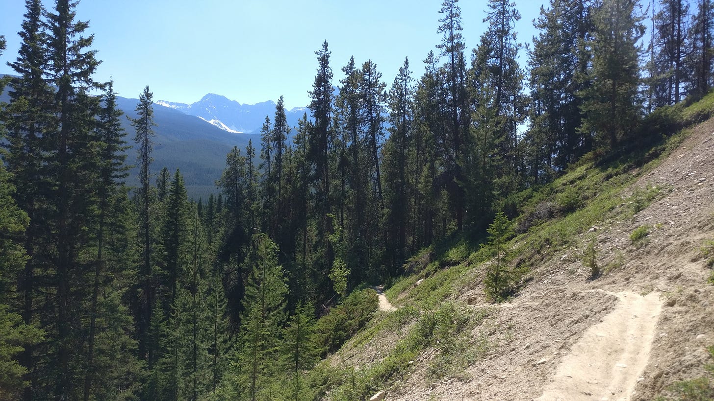 The trail to Silverton Falls in Banff NP. A narrow dirt path on a steep slope with more mountains in the distance