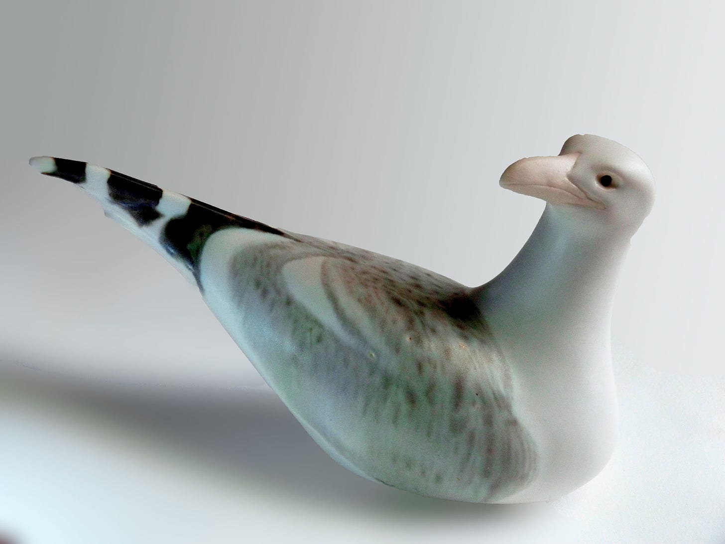 Slip cast seagull turns it head. looking back towards it's uplifted rail. Its eyes are hollowed out ovals creating an inner depth. The beak is unglazed. The rest of the form id lazed in white matte with a fluid interactive gray decorating color painted across the wings and black ebony and white matte stripes grace the tail feathers.