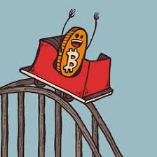 Image result for crypto rollercoaster