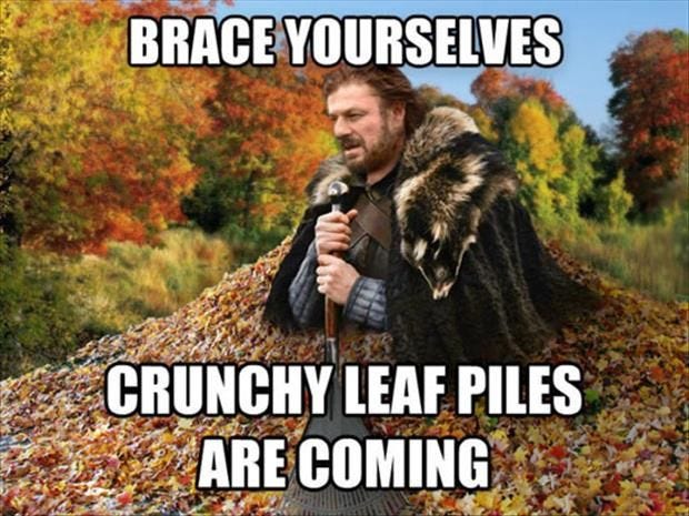 Funny Pictures Of The Day - 93 Pics | Fall memes, Funny pictures, Fall humor