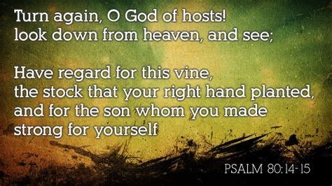 Psalm 80: the Most Neglected Messianic Psalm? - My Digital Seminary
