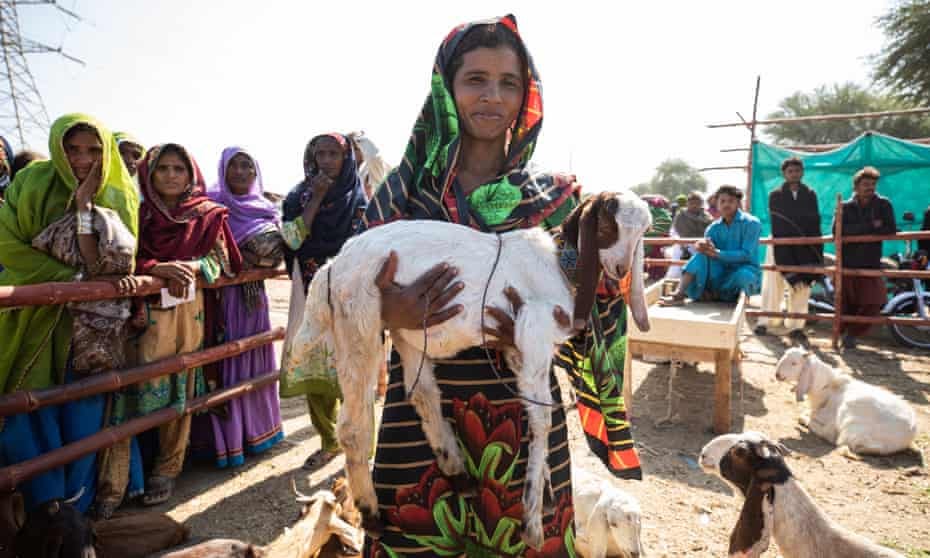 A smiling woman holding a goat at a market in Pakistan