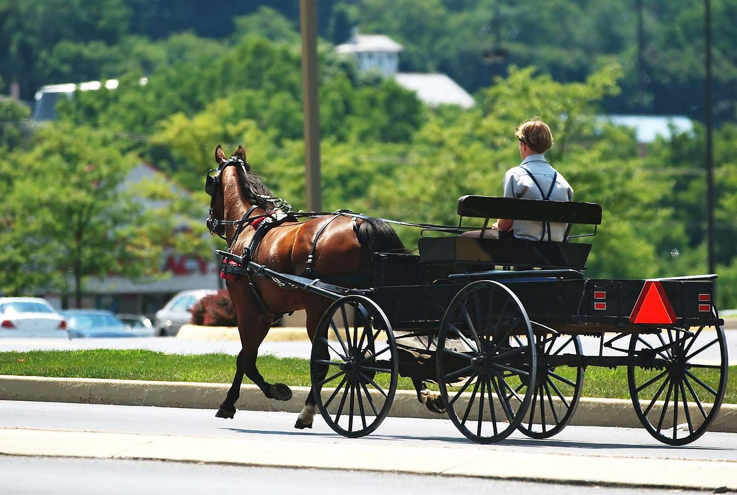 Amish | Definition, History, Beliefs, Education, Children, Lifestyle, &  Facts | Britannica