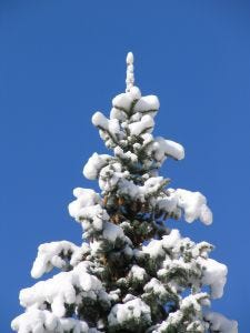 Freelance writers need to plan ahead for the holidays.