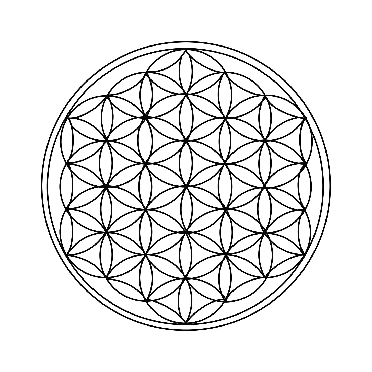 https://www.ancient-symbols.com/images/wp-image-library/fullsize/flower-of-life5.jpg