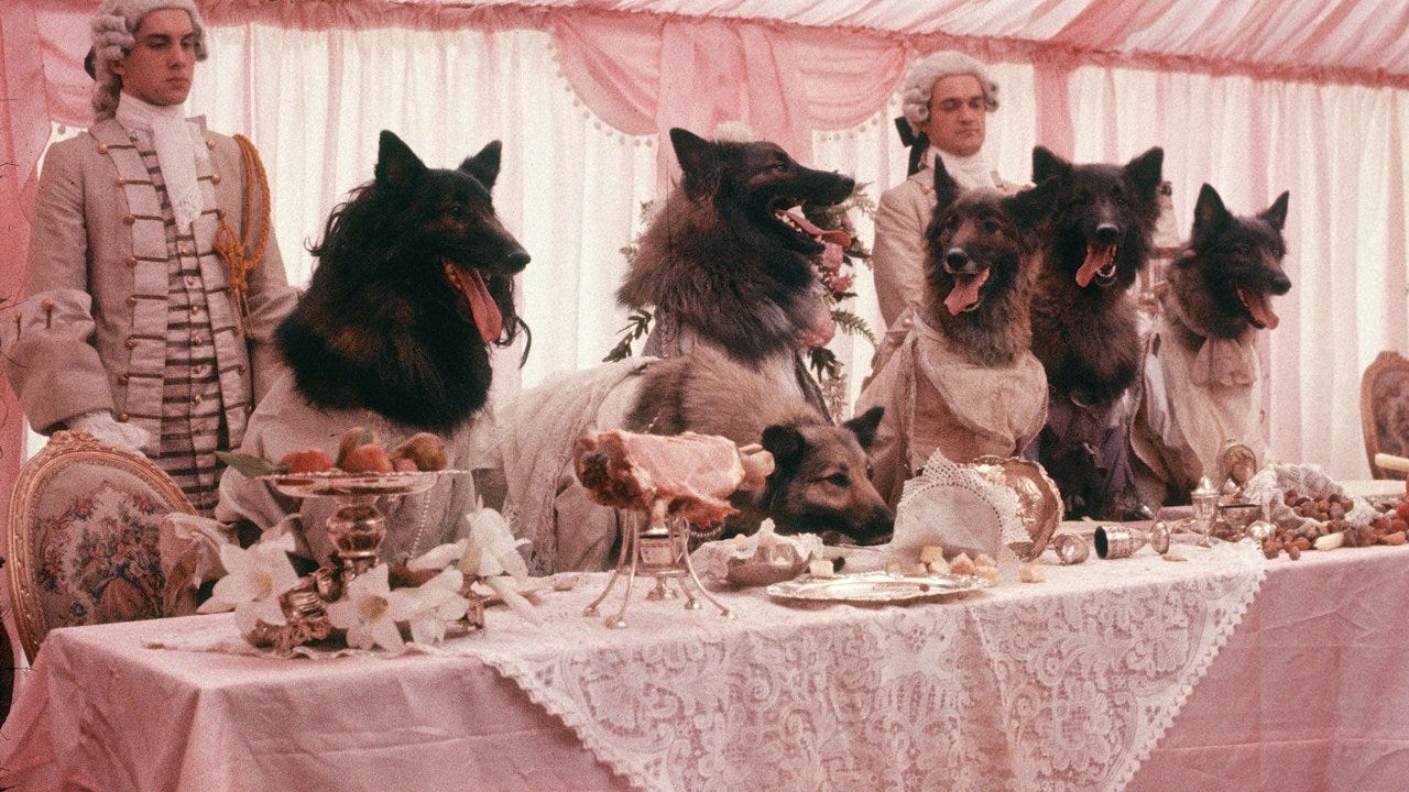 Una scena del film In Compagnia dei Lupi (1984). Sei lupi vestiti in abiti eleganti siedono a una tavola imbadita tutta rosa. Alle loro spalle due valletti con parrucca bianca e abiti settecenteschi.