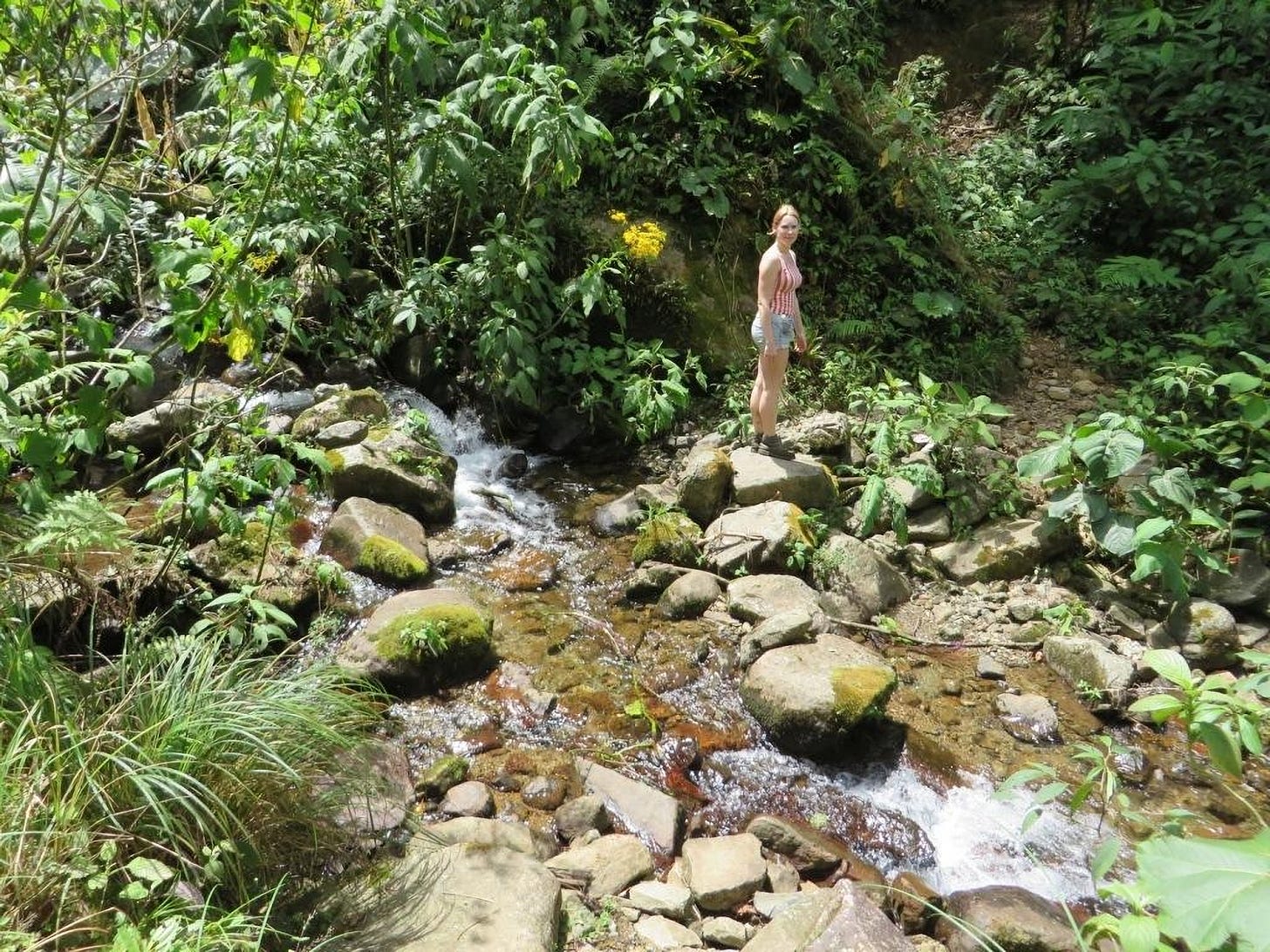 A young woman crosses a small stream in a jungle.