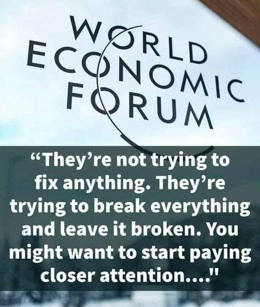 May be an image of one or more people and text that says 'FOROMIC "They're not trying to fix anything. They're trying to break everything and leave it broken. You might want to start paying closer attention...."'