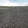 Story image for DROUGHT NETHERLANDS FARMERS WATER AUGUST SHORTAGE from The Bobr Times