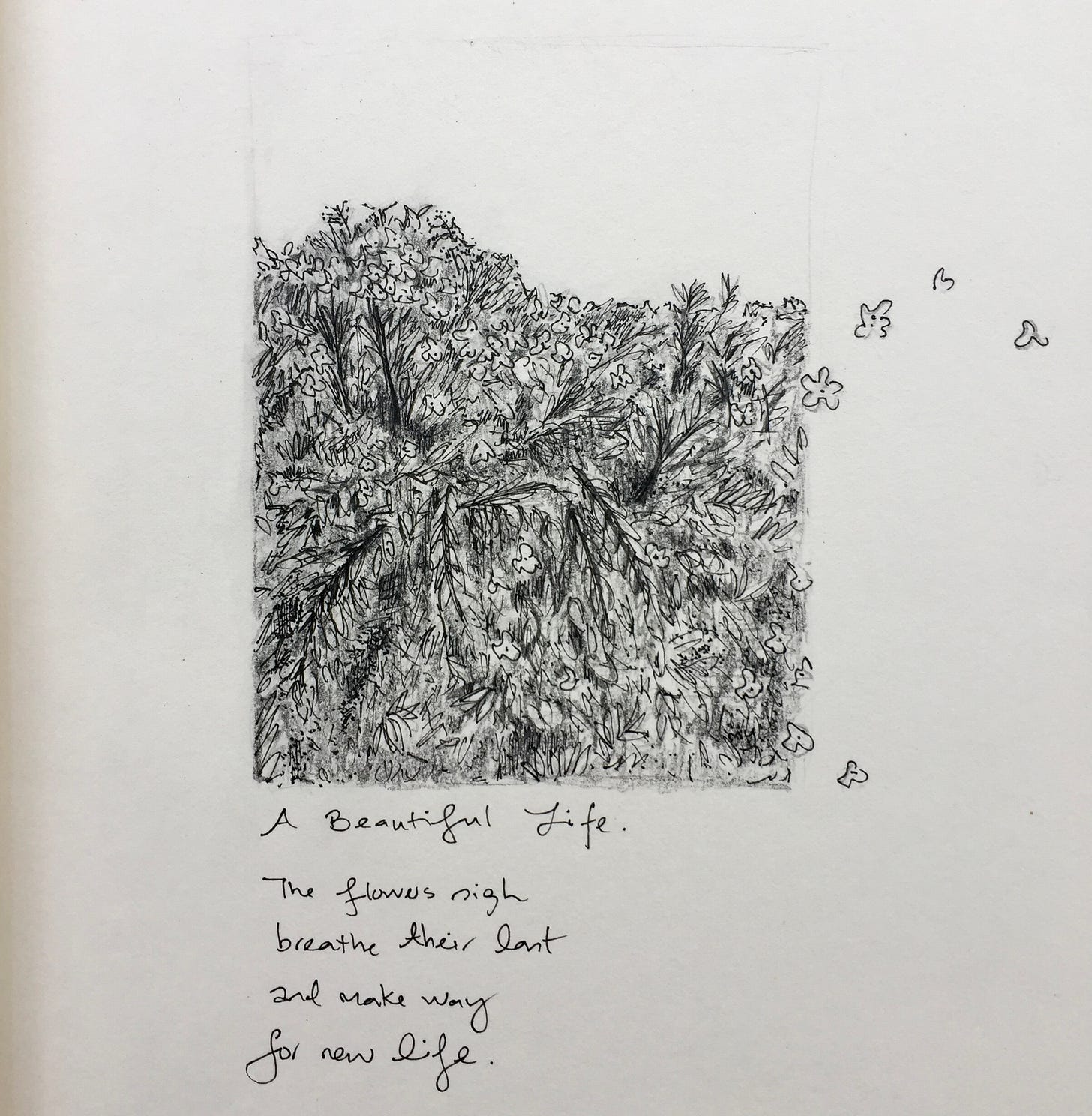 Ink and pencil sketch of a tree with flowers flying off the branches. Poem is titled: A Beautiful Life. It goes like this: The flower sigh, breathe their life, and make way, for new life.