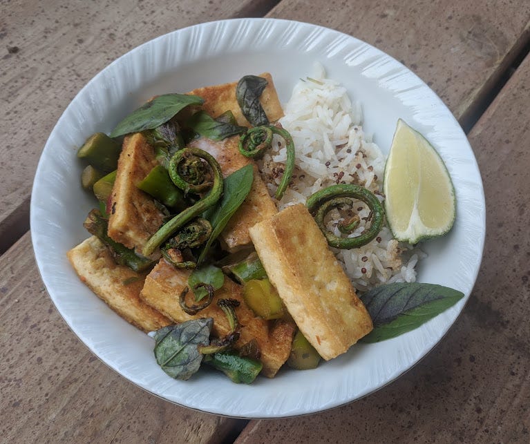seared fiddleheads on top of panang curry and rice/quinoa