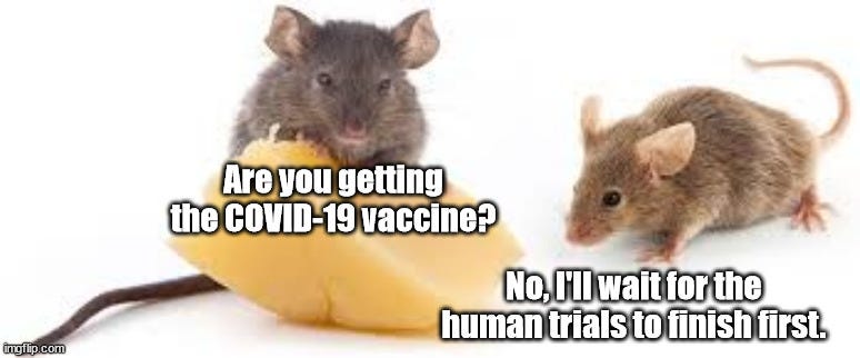  Are you getting the COVID-19 vaccine? No, I'll wait for the human trials to finish first. | image tagged in two mice | made w/ Imgflip meme maker