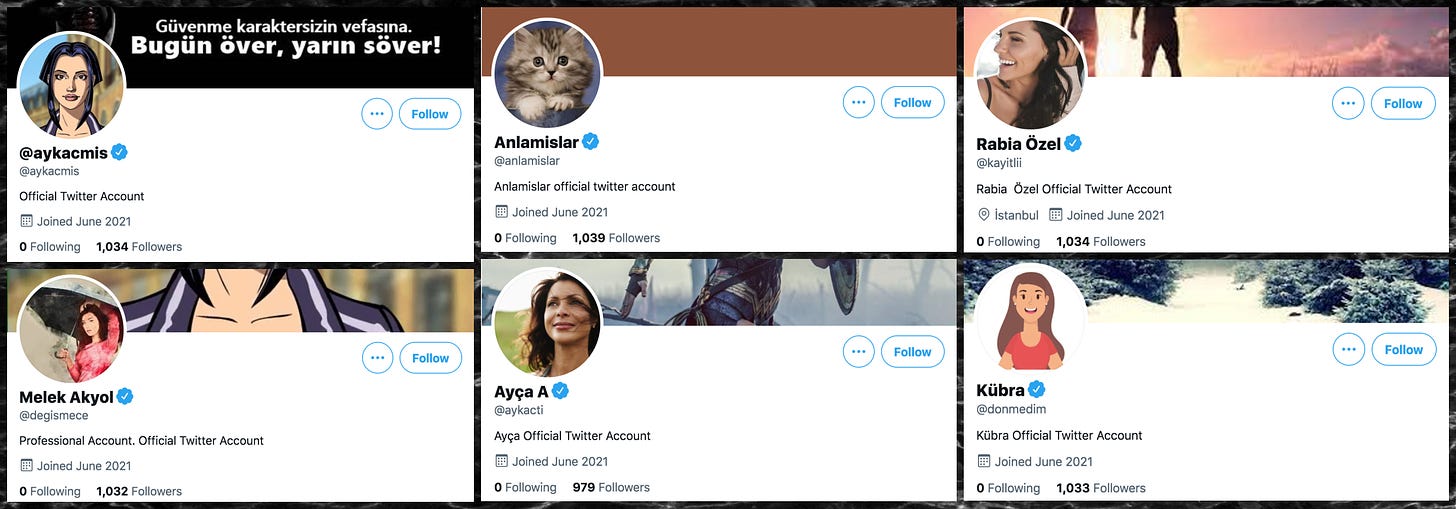 collage of the profiles of six fake blue check Twitter accounts from June 2021