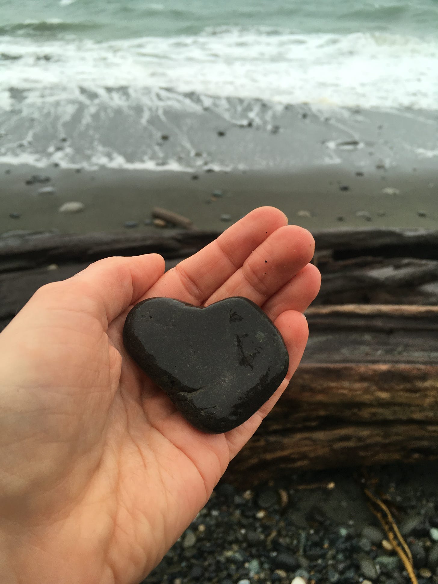beige left hand cups somewhat heart-shaped wet dark gray stone in front of camera with background a bit fuzzy of wet driftwood logs and then the ocean waves ebbing and flowing beyond on sandy rock with some rocks.