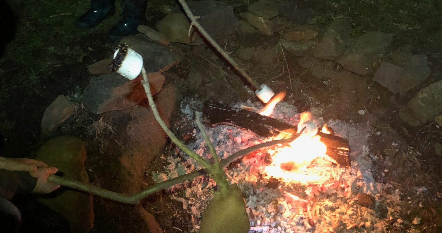 Three sticks (with white marshmallows on their ends) being held over a campfire.