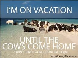 Image result for until the cows come home Image result for until the cows come home